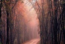 百岁山携手尤文图斯:“青春圆梦计划”点亮中欧足球文化交流新路径