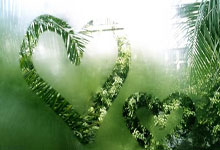 百岁山携手尤文图斯:“青春圆梦计划”点亮中欧足球文化交流新路径